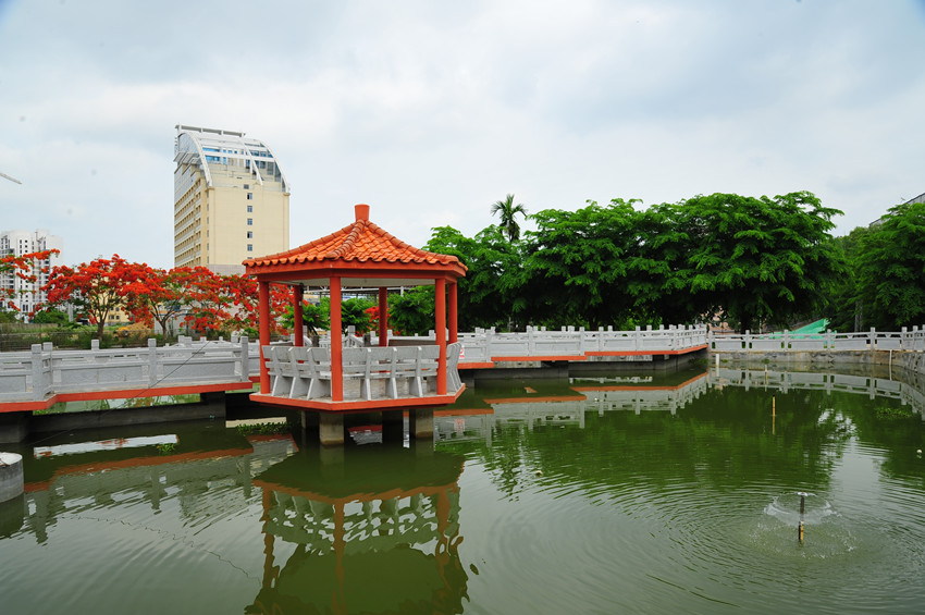 校园风光