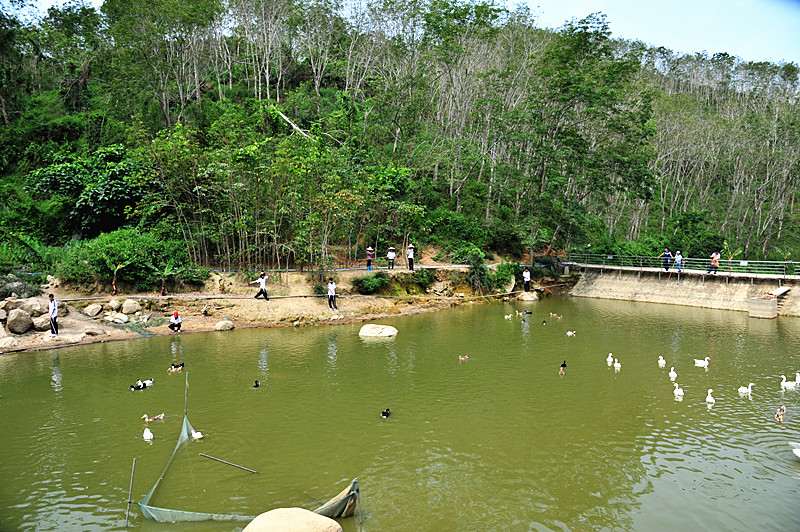 学校综合实践基地2
